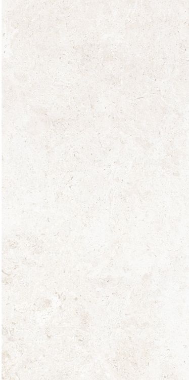 OL Limestone Bianco Matte 12 x 24